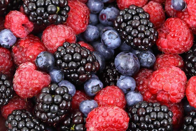 Cómo elegir la mejor dieta para futbolistas